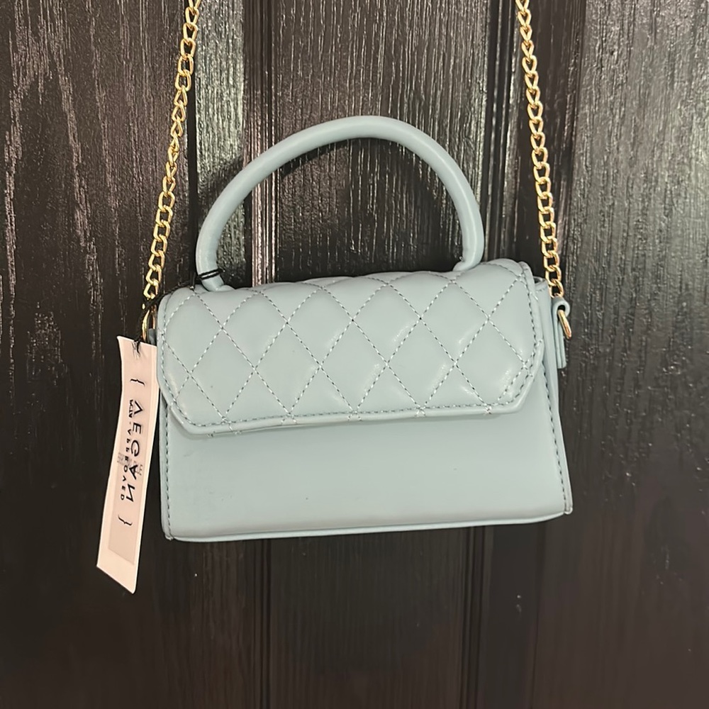 Light Blue Purse